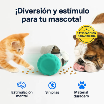 Croquemente® – Alimenta su cuerpo y su coco