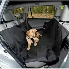 AutoMascota Plus® - Protege tu auto y consiente a tu mascota al mismo tiempo.