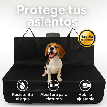 AutoMascota Plus® - Protege tu auto y consiente a tu mascota al mismo tiempo.